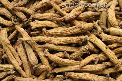 高丽参加工过程