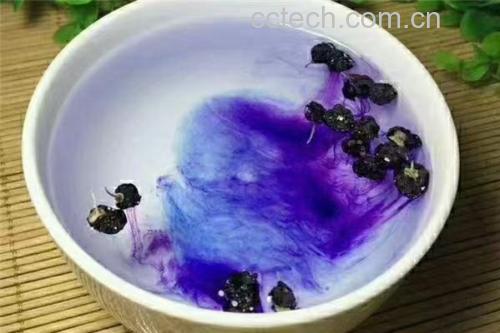 黑枸杞泡水图