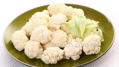 白花菜花健康饮食搭配示意图
