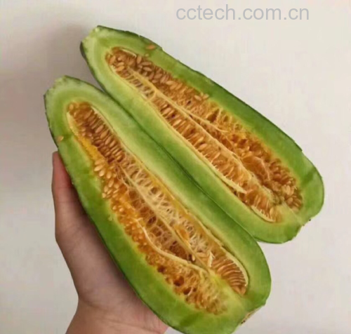 羊角蜜甜瓜切开果肉