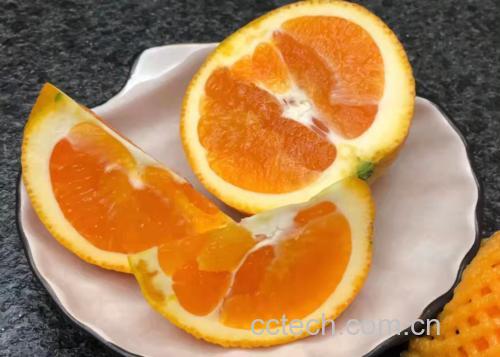甜橙切开果肉饱满多汁