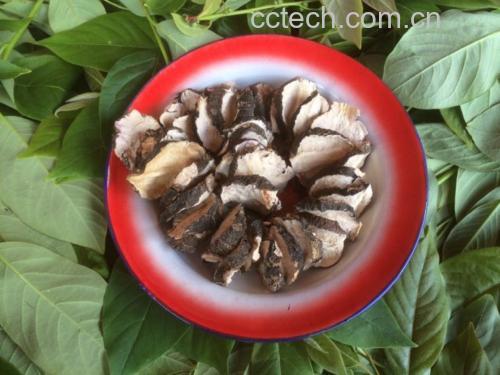 黑玛卡搭配食材示意图