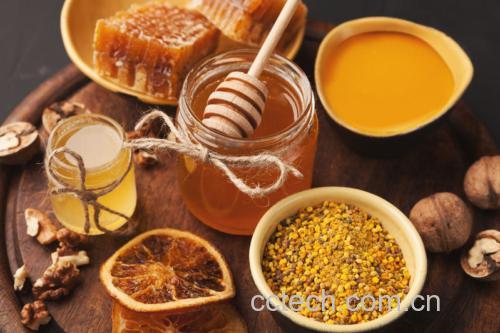 甜橙与其他食材搭配的健康食谱展示