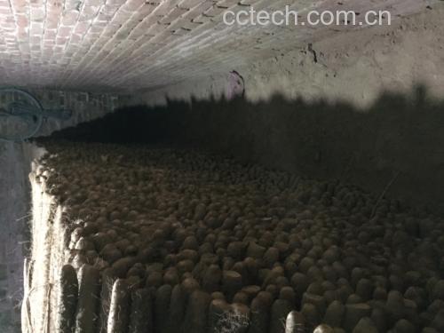 白玉山药的选购与保存方法图示
