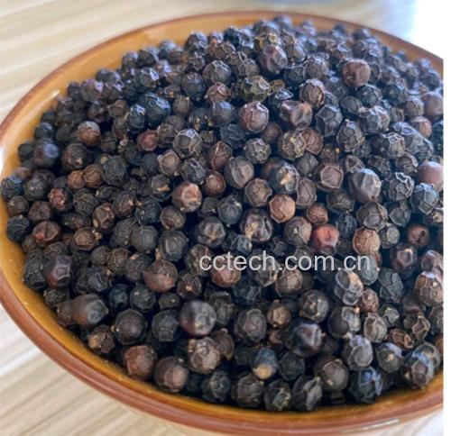 搅拌机处理黑胡椒粒