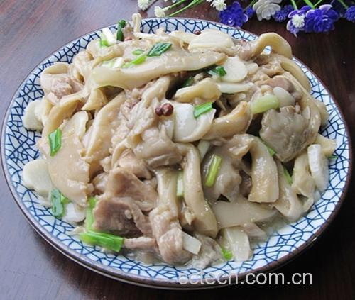 平菇炒肉片成品图