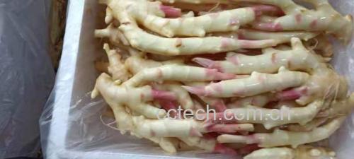 子姜糖水制作过程