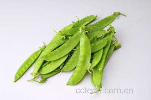 荷兰豆的健康价值展示
