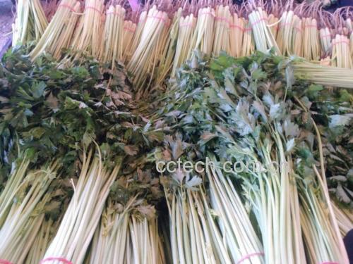 山芹菜清洗前后对比图