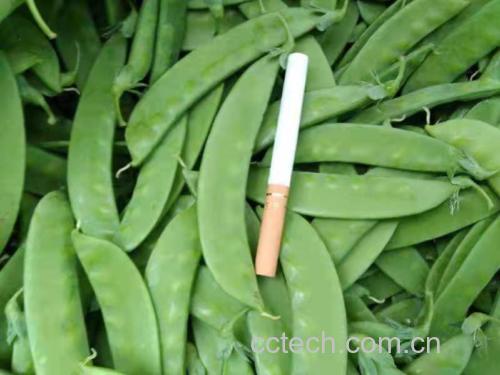 荷兰豆与健康益处的图解