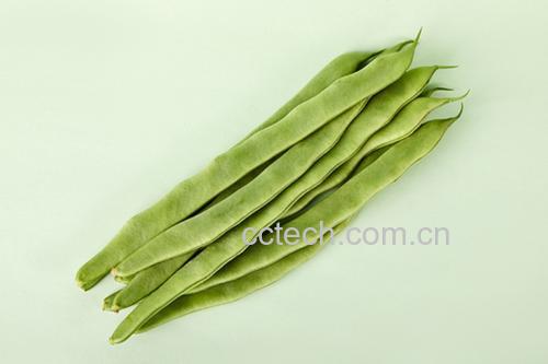 扁豆花泡茶图