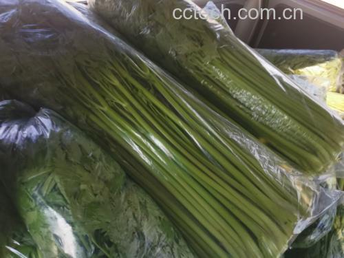 市场销售的栽培芹菜