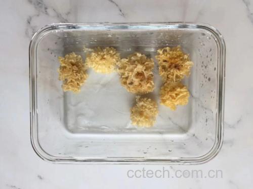 泡发与未泡发的椴木银耳对比图