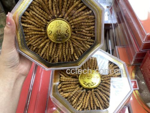 金虫草产品包装展示图