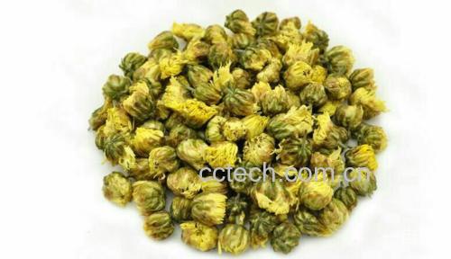 蒲公英杭白菊泡水图
