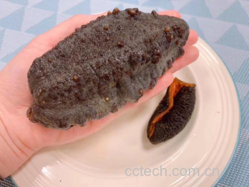 海参煮黑豆成品图