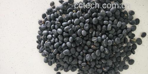 河蚌与黑豆食材展示