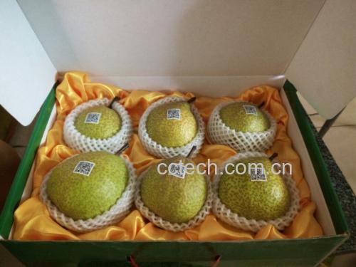 莱阳梨汁饮料产品图