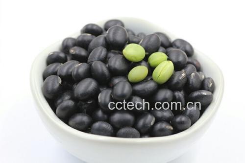 黑豆浆成品图