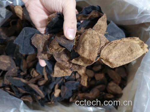 陈皮与黑豆组合食材图