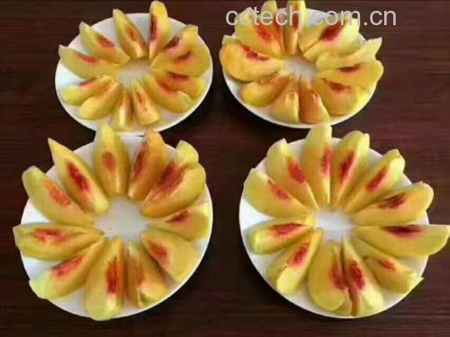 炎陵黄桃制作的甜品