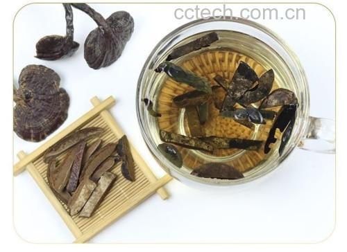 灵芝泡水与炖汤的食用方式