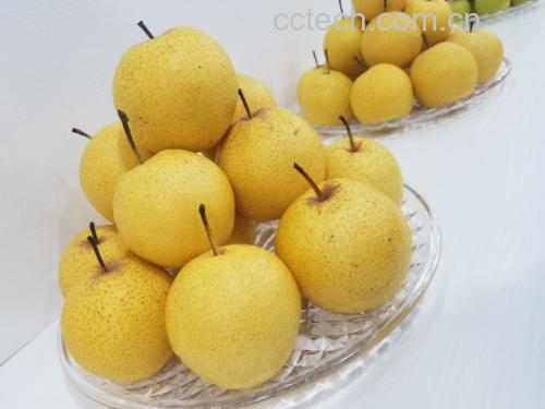 黄金梨冰糖水成品图