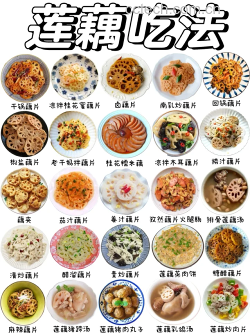 健康饮食中的脆莲藕应用