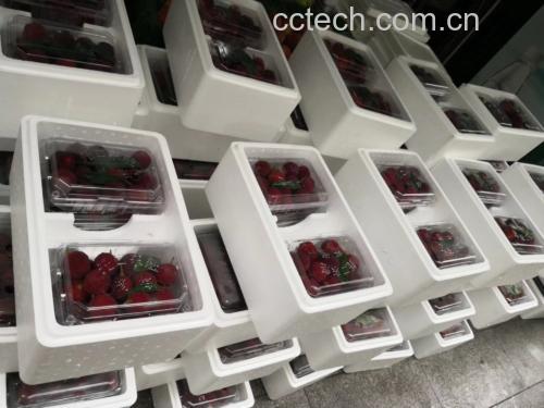 东魁杨梅果盘展示