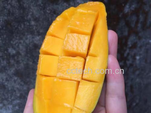 鹰嘴芒果与其他芒果品种对比图