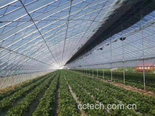草莓种植大棚内的光照与温湿度监测