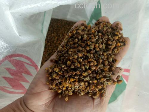 野菊花茶成品图