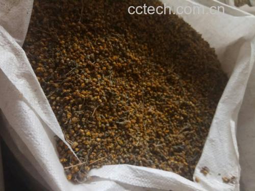 白梨与菊花处理过程图