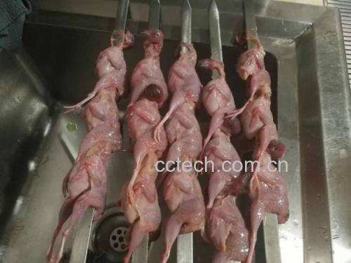 鸡腿肉大葱串烧图