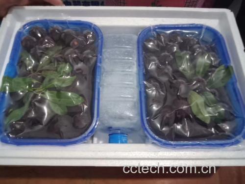 东魁杨梅制作成果酒和果酱