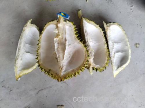 金枕头榴莲气味辨别