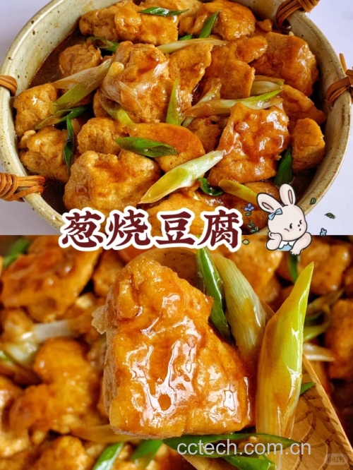 葱烧豆腐成品展示