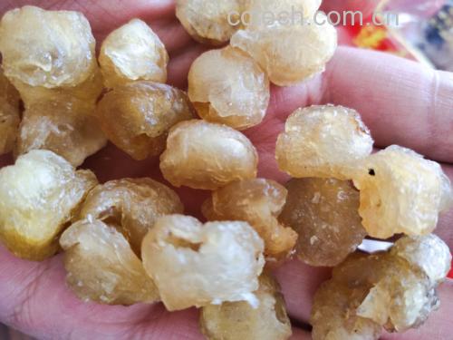 龙眼蜜汁糯米甜点成品图