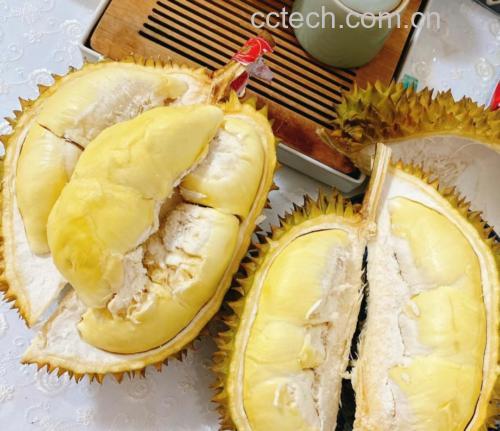 金枕头榴莲果肉特写