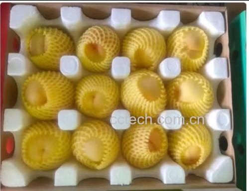 优质黄桃罐头产品展示图