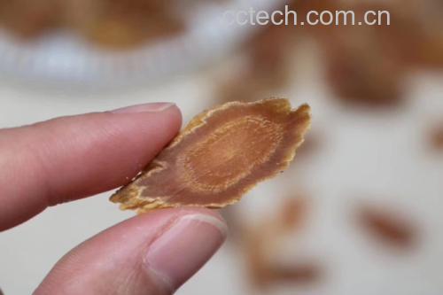 高丽参切片泡水示意图