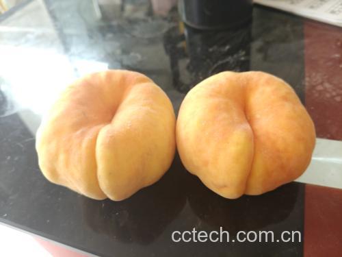 黄桃果盘