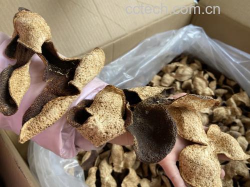 金桔与陈皮的搭配