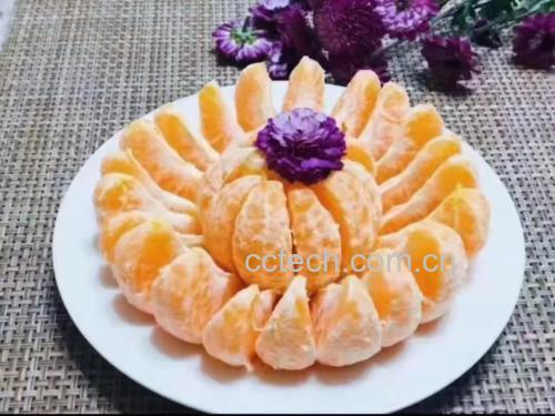 沃柑与其他水果搭配制作的果盘