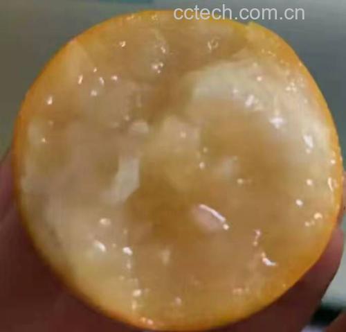 金桔果实特写
