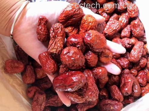 儿童吃干红枣片