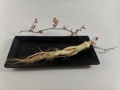 保鲜人参与保鲜液展示图