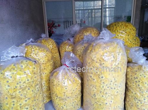 金丝皇菊与陈皮的食材展示
