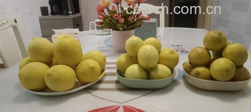茶叶柠檬DIY制作步骤图