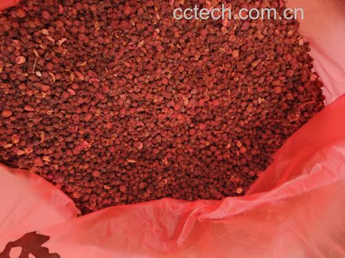 五味子茶饮产品图